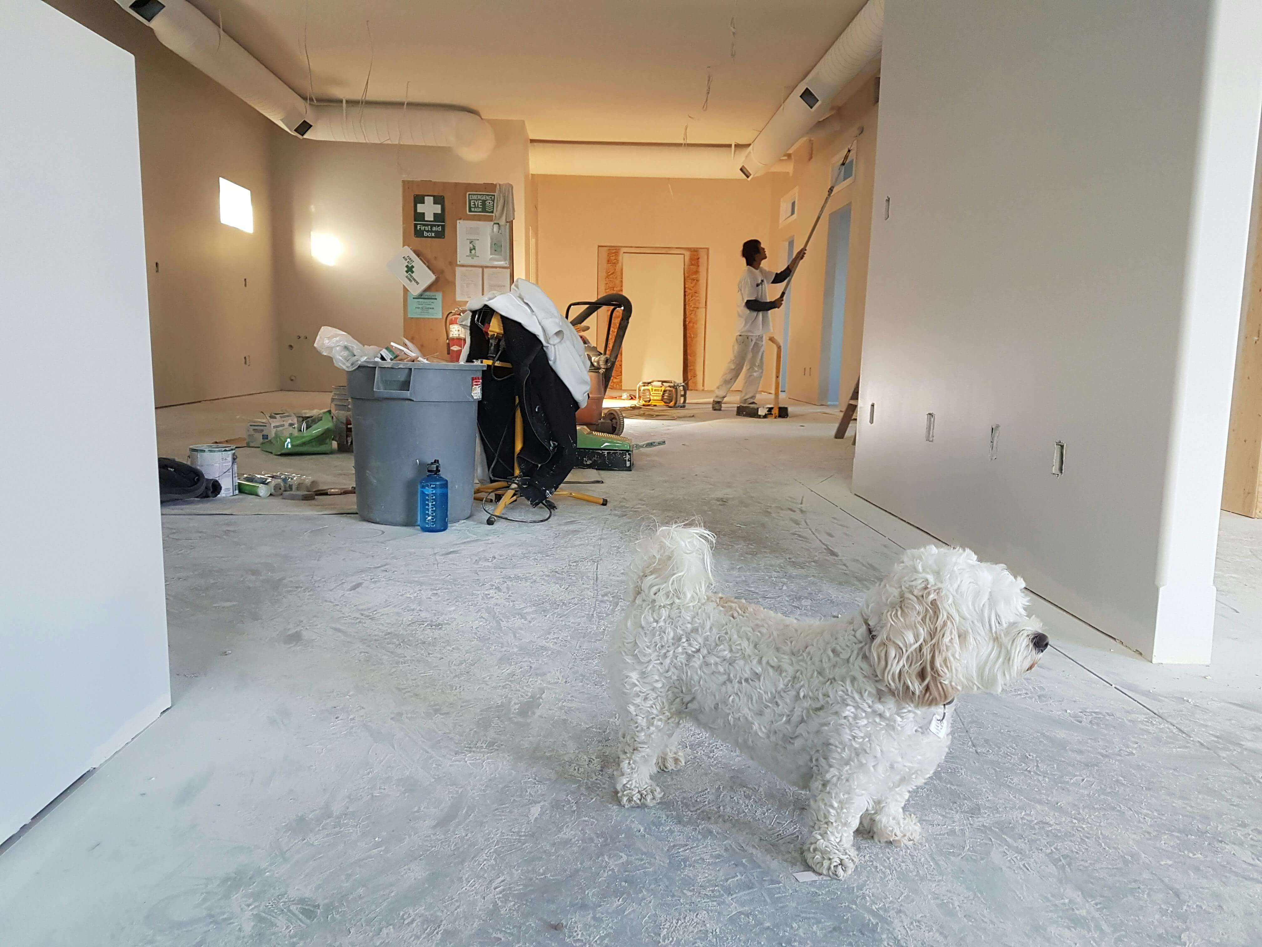 A bright, empty room with freshly painted white walls and new light wood flooring.